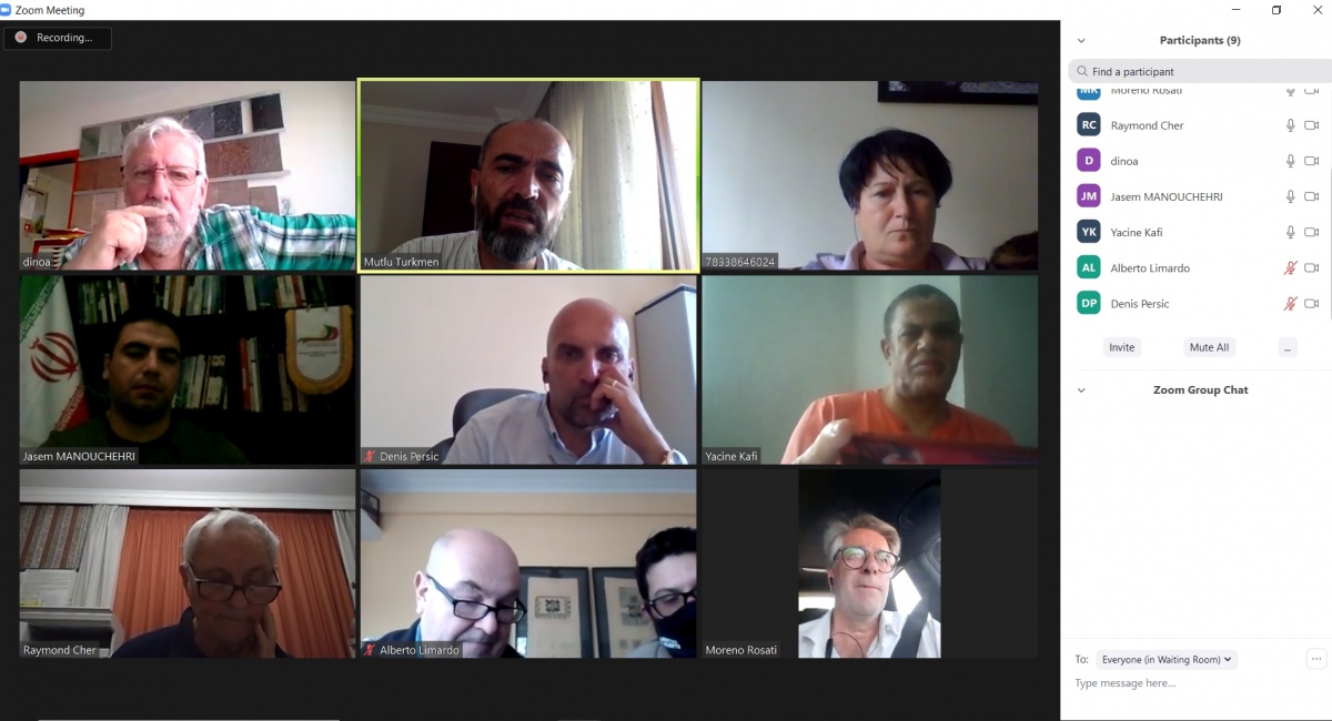 Executive Committee Online Meeting